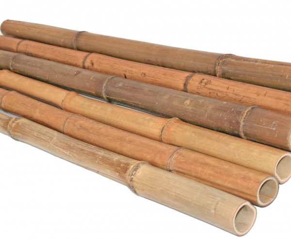 Bambusrohre Moso 200cm gelbbraun Durch. 3,8 bis 5cm, hitzebehandelt