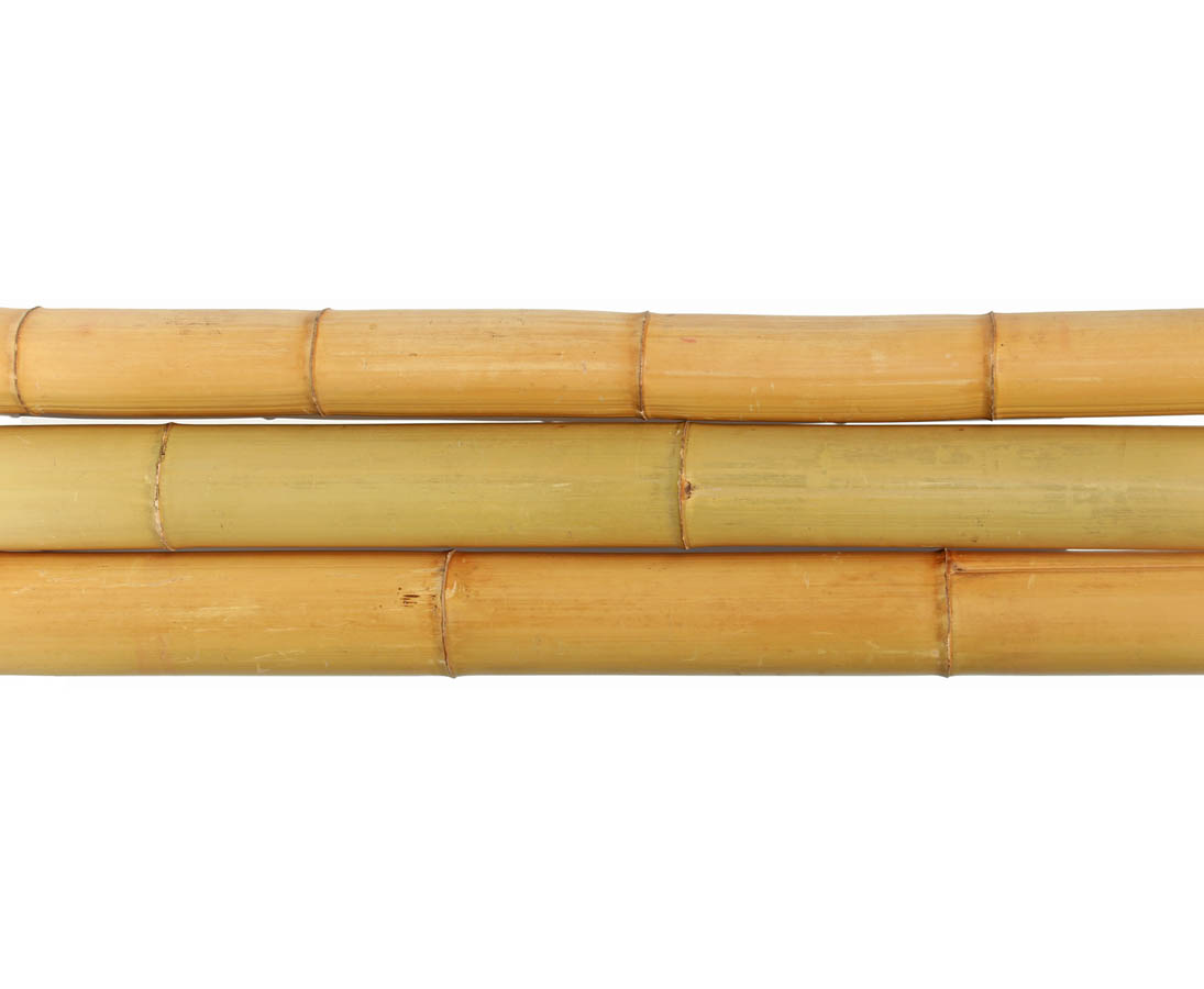 gebleicht Durch 4,5-6cm Moso Bambus Länge 200cm Bambusrohr gelb