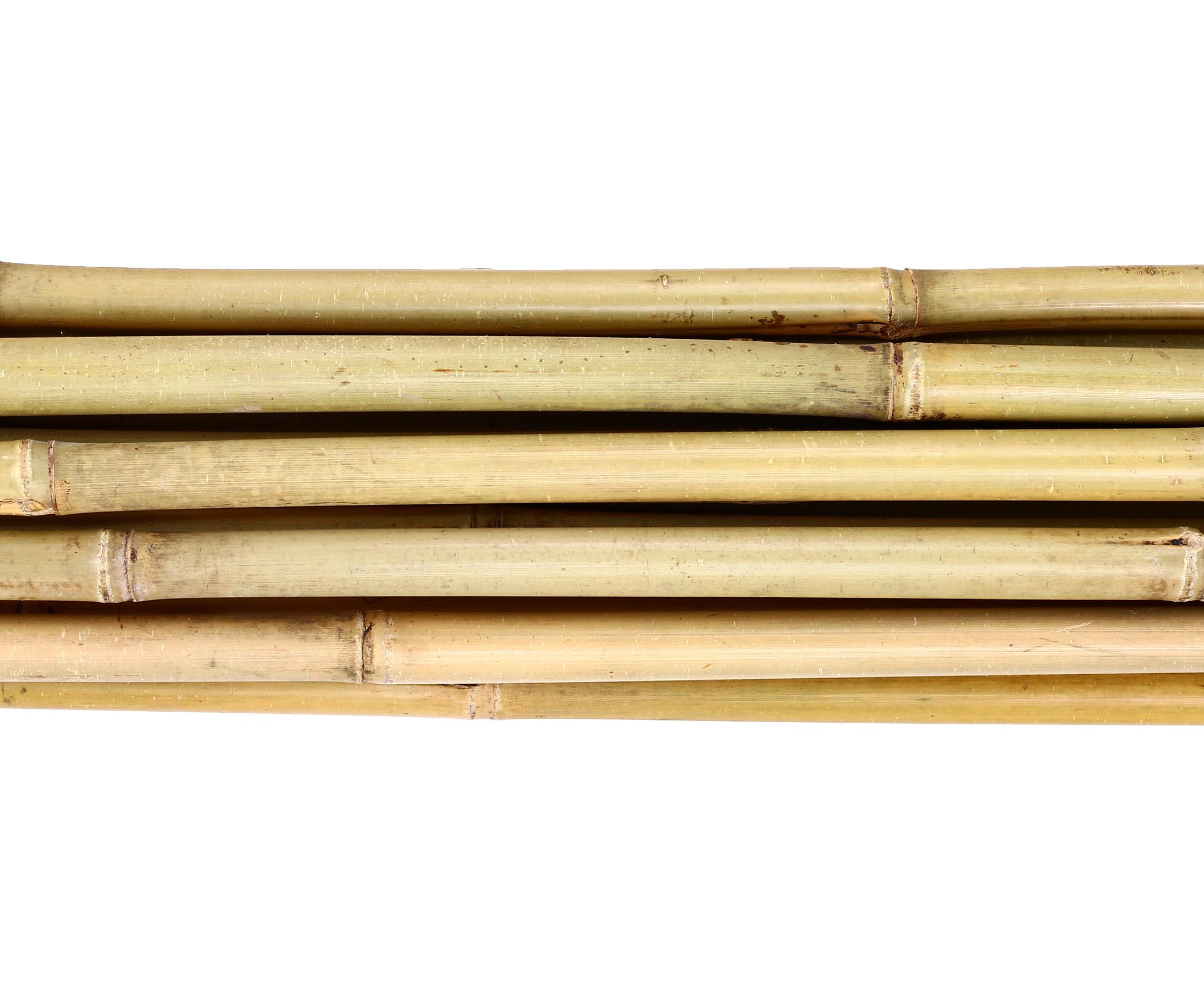 1,6 bis 1,8cm Bambusrohr bamboo pole Tonkin Bambusstange 200cm natur Durch 
