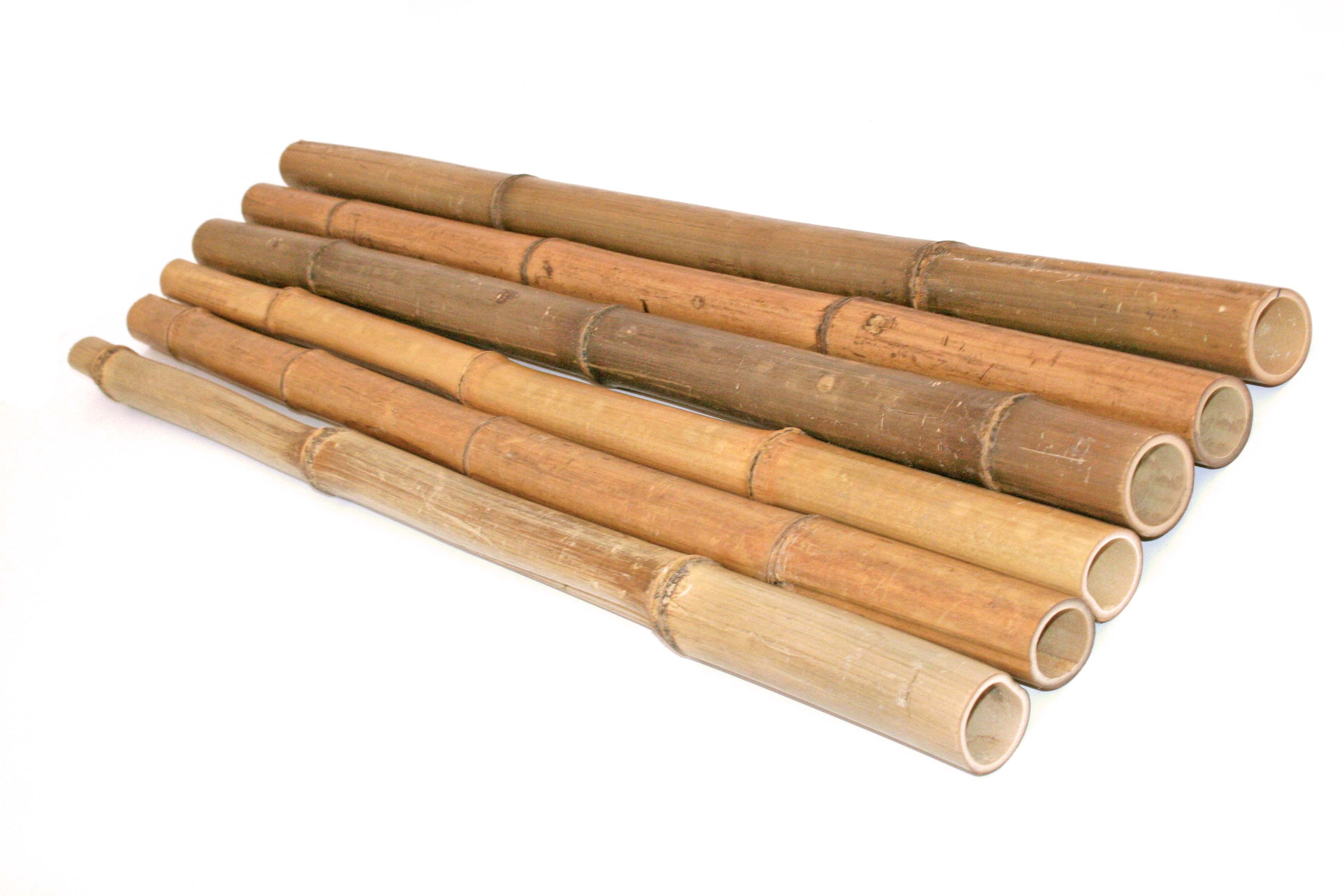 6 bis 7cm Madake hitzebehandelt Bambus Bambus Rohr Bambusrohre Bamboo Bambusstangen Bambusrohr 300cm gelbbraun Durch 