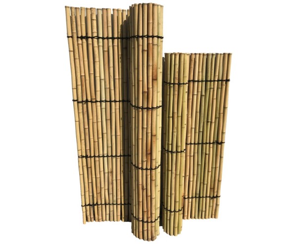 Bambuszaun gerollt Moso Rohre gelblich gebleicht mit 150x120cm Durch. Bambusrohre 3,5- 4cm