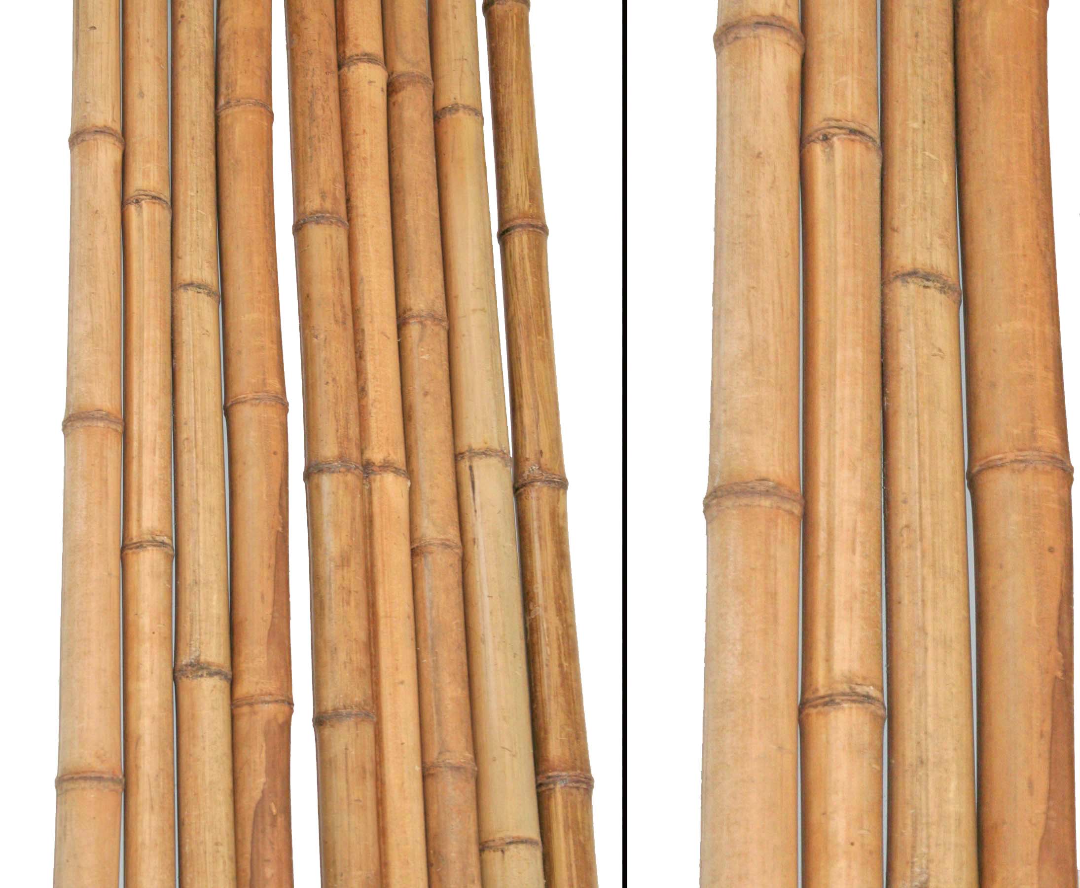 10 bis 12cm Bambus Rohr Bambus Latten farbige Bambusrohre Bamboo Bambus Halbschale Bambusstangen --> großes Sortiment an Bambusrohre und Rohre aus Bambus Bambus-Rohre Moso unbehandelt getrocknet und hitzebehandelt Bambus natur gelbbraun 150cm Durch