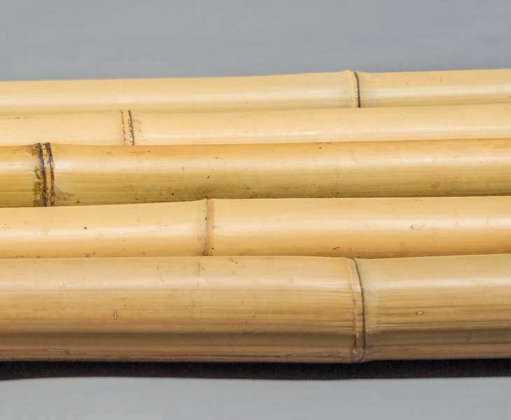 1x Bambusrohr 180 Cm Naturgrün – Durchmesser 8-9 Cm, Unbehandelt, Für Deko Oder DIY-Projekte