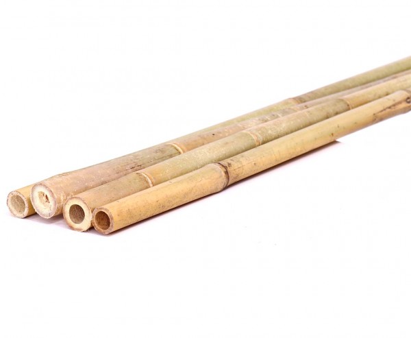 Bambusrohre Tonkin, naturbelassen, Durch. 3,5- 4cm, Länge 300cm