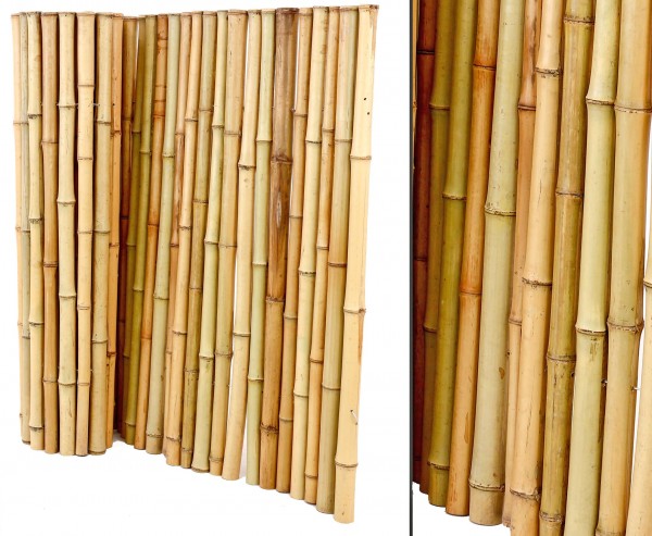 Bambusmatte Rollzaun "Bali Big" 100 x 200cm mit 3,5 bis 5cm Ø