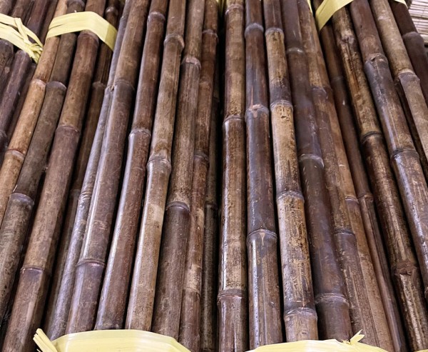 Bambusrohr 200cm mit Durch. 4 bis 5cm karamellisiert im Karbid Ofen