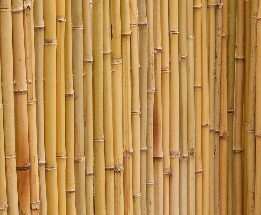 Bambusmatte Bambuszaun 150×400 cm Sichtschutz Sichtschutzzaun Gartenzaun Bambus 