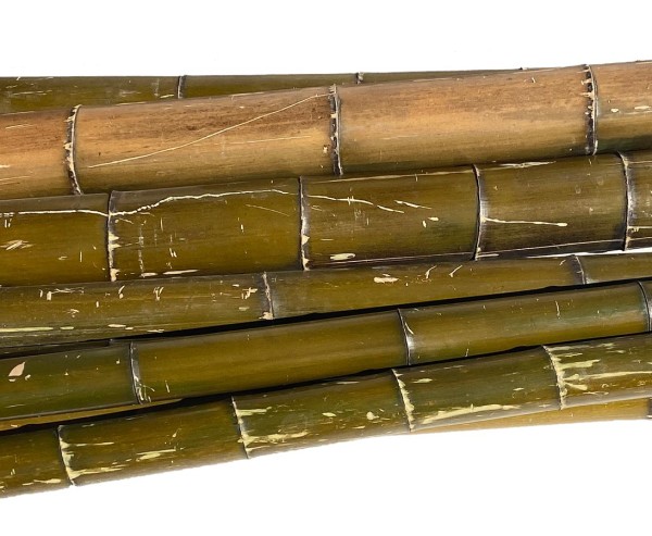 Bambusrohr Moso natur grün hitzebehaldelt 200cm Durch. 8 bis 9cm