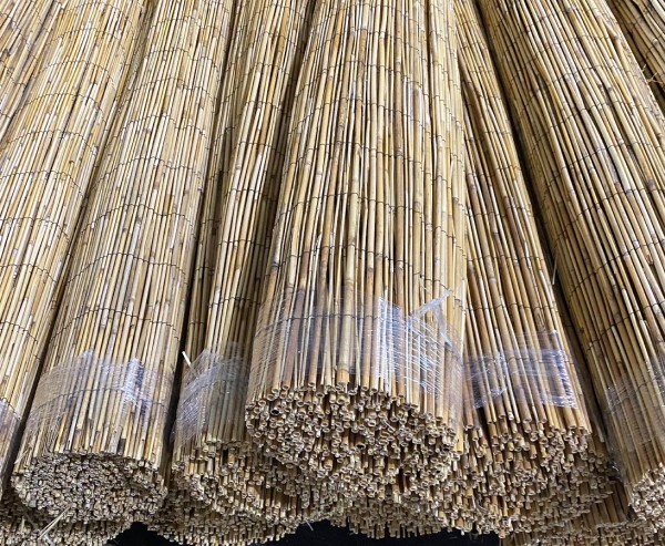Bambusmatte Rio 100 x 500cm als B-Ware Bambus Sichtschutz günstig