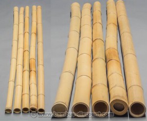 Bambusrohr gelb von bambus-discount