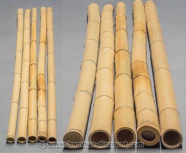 Sichtschutz Bambusrohre