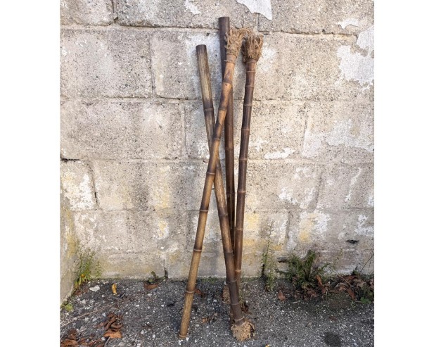 Bambus mit Wurzel als Ansatz 120cm 3 bis 4cm Nigra braun schwarz für Deko & Shakuhachi Bau