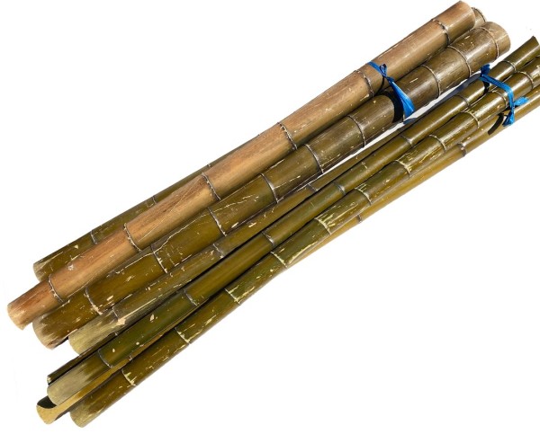 Bambusrohr Moso natur grün hitzebehaldelt 200cm Durch. 12 bis 14cm