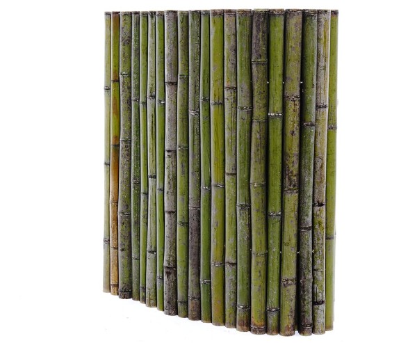Bambusmatte naturgrün "Bali Big Green" 90x200cm mit 4 bis 5cm