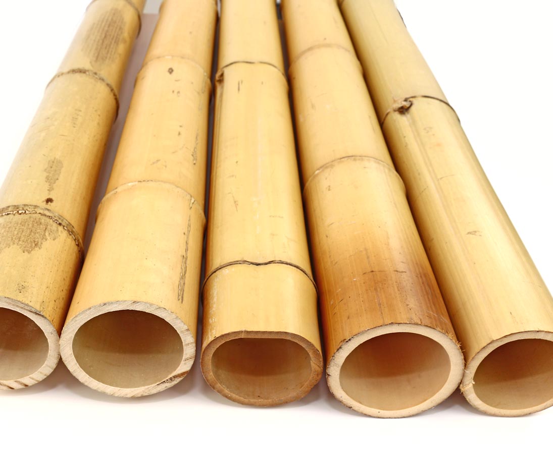 1,6 bis 2,0cm 1 Stück Tonkin Bambus 100cm natur Rohr Durch Bambusrohre Bambus Rohr Bambusstäbe Bambusstab Bambusstange 