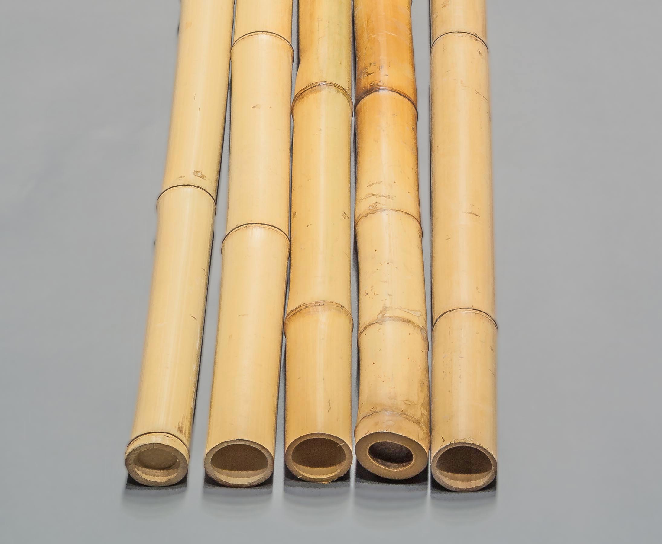 gebleicht Durch 4,5-6cm Moso Bambus Länge 200cm Bambusrohr gelb