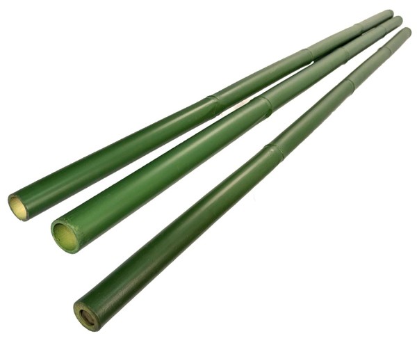Bambusstab 200cm grün gefärbt mit 3,8 bis 5cm, Apus Bambus