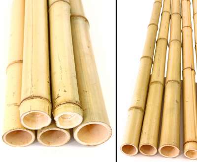 Bambusrohr 100 Cm, Hitzebehandelt – Durchmesser 6-7 Cm, Madake Bambus Für Gartenzaun & Deko
