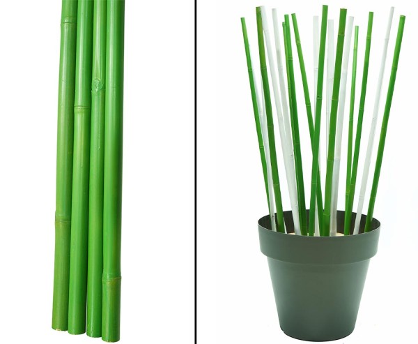 Bambusrohr grün gefärbt 200cm Durch. 2,8 bis 4cm, Apus