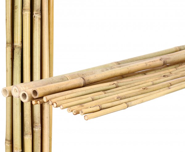 Bambusrohre Tonkin gelblich naturbelassen mit 600cm Durch. 3,8 bis 4,5cm