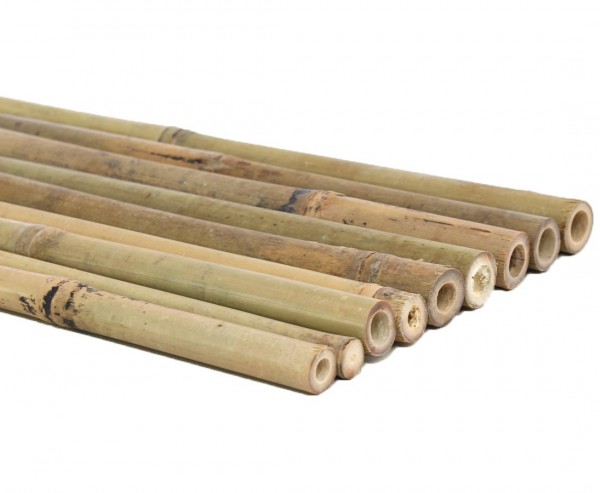 Bambusrohr Tonkin 30cm natur Durch. 1,4 bis 2,4cm