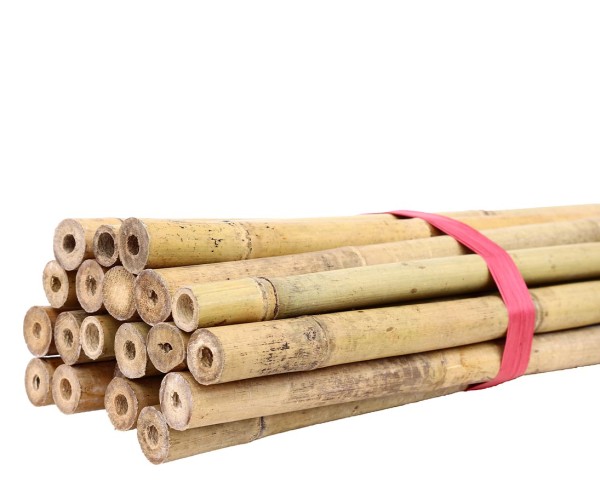 Tonkin Bambusrohr 140cm natur Durch. 2,0 bis 2,2cm als Pflanzstab