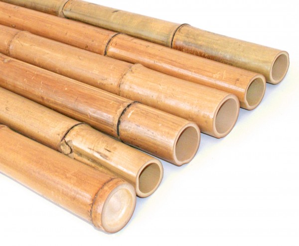 Bambusrohre Moso natur 90cm Durch. 5 bis 6cm, unbehandelt getrocknet gelbbräunlich