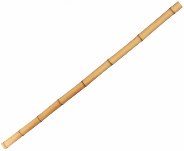 Bambusrohr Moso 100cm gelb Durch. 3,8 bis 5cm, gebleicht