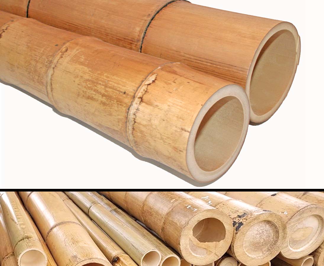 Hitze Behandlung im Karbid Ofen von Bambus-Discount Bambus karamellfarben 200cm mit Durch Bambus Rohr Bambus Latten farbige Bambusrohre Bamboo 5-6cm 