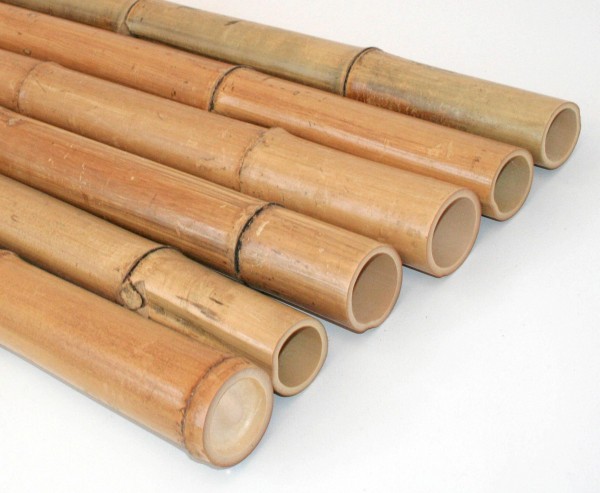 Moso Bambusrohre gelbbraun 150cm Durch. 5 bis 6cm, unbehandelt getrocknet