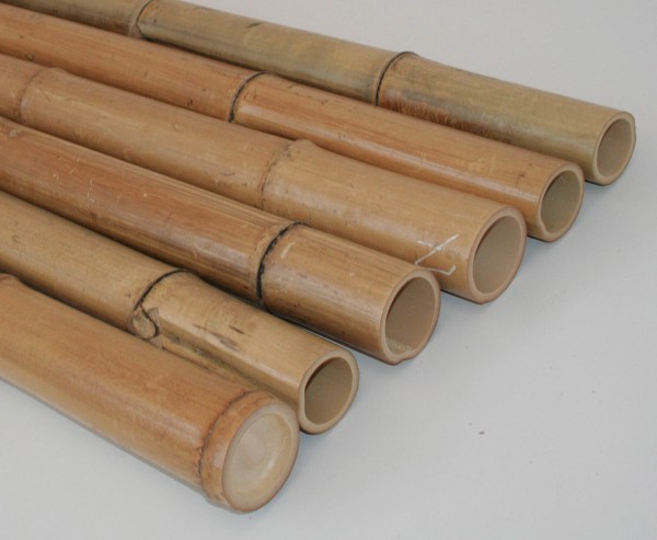 Bambusrohr natur gelbbraun 180cm Durch. 5 bis 6cm, Moso hitzebehandelt
