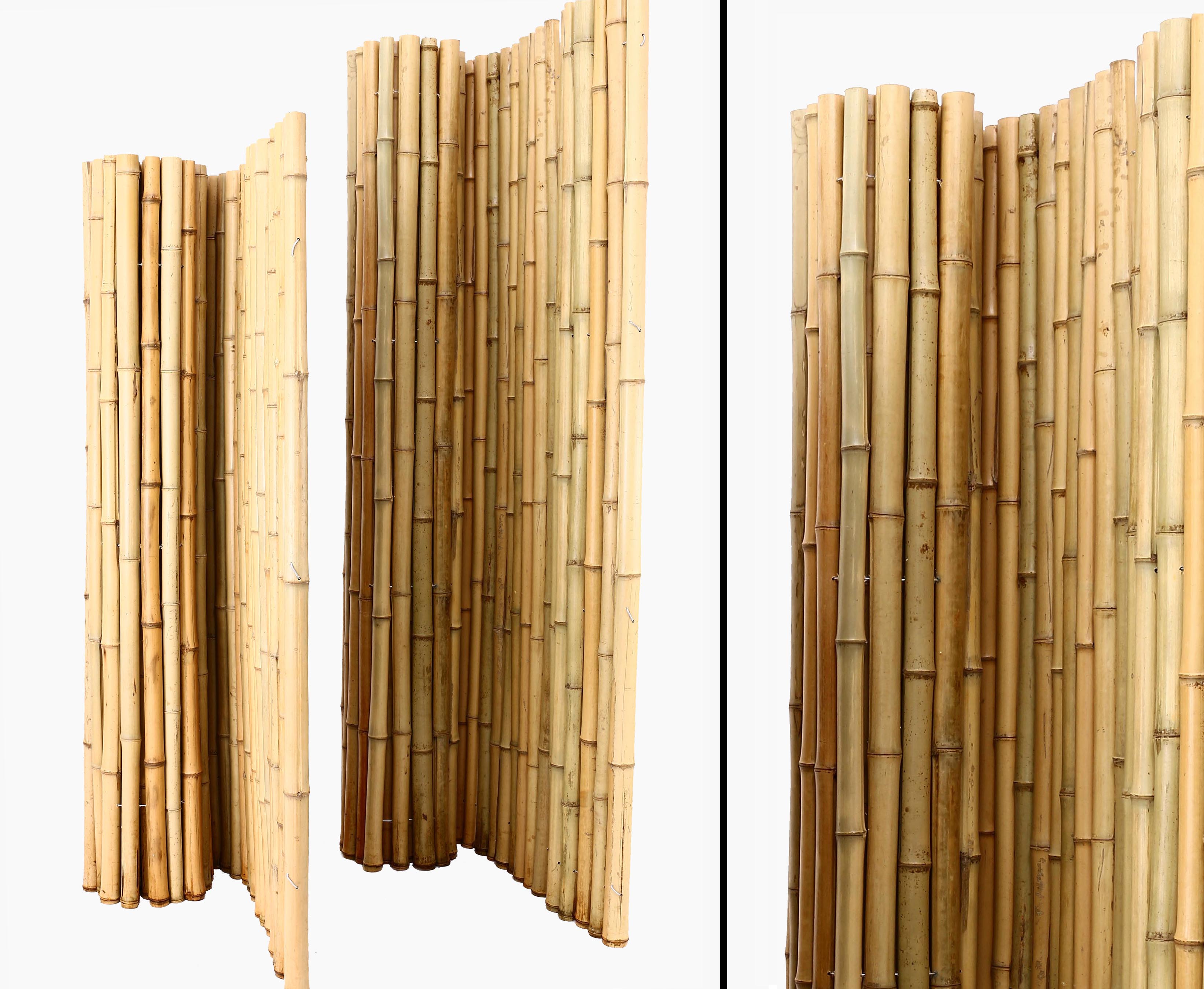Bambus Sichtschutz günstig mit 150 x 500 cm Bambusmatte Rio eco Modell 
