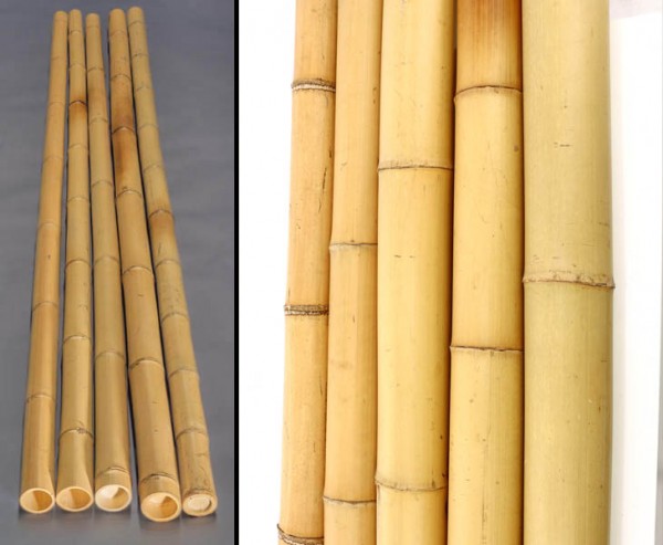 Bambusrohr gelb, Moso Bambus, gebleicht, Durch. 8- 9cm, Länge 300cm
