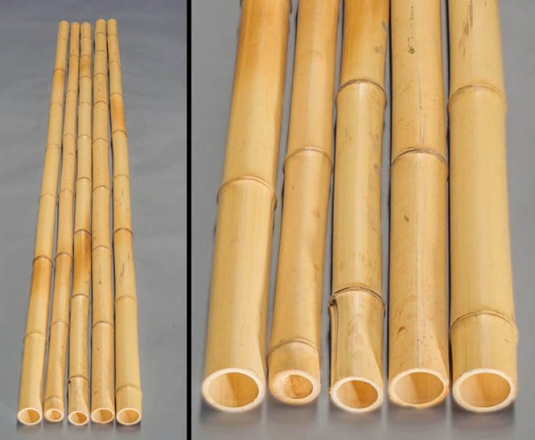 Moso Bambus, gebleicht, Durch. 3,5- 4,5cm, Länge 300cm