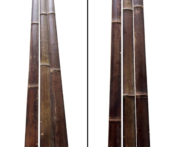 Bambusrohr Latten Moso karamell 200cm dunkelbraun gedämpft mit Breite ca. 4cm