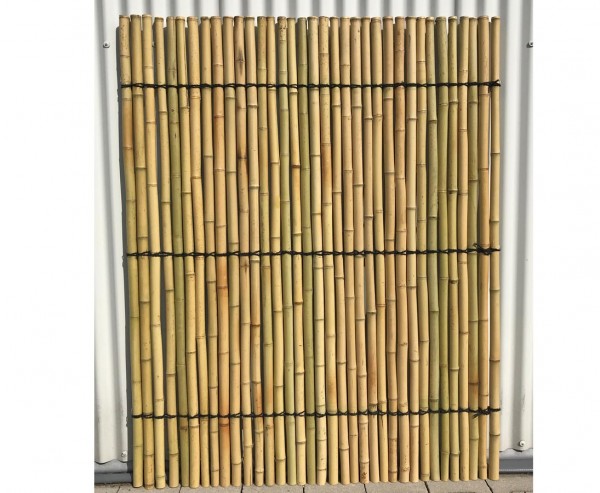 Bambuszaun starr, Moso gelblich gebleicht mit 150x120cm, Durch. Bambusrohre 3,5- 4cm