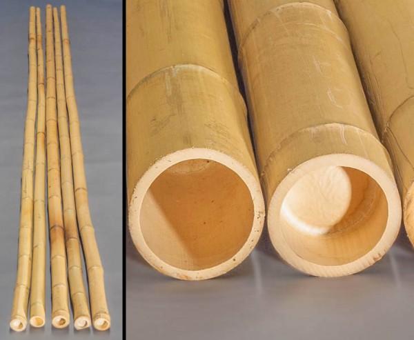 Bambusstange "Moso" gelb, gebleicht, Durch. 12- 14cm, Länge 600cm