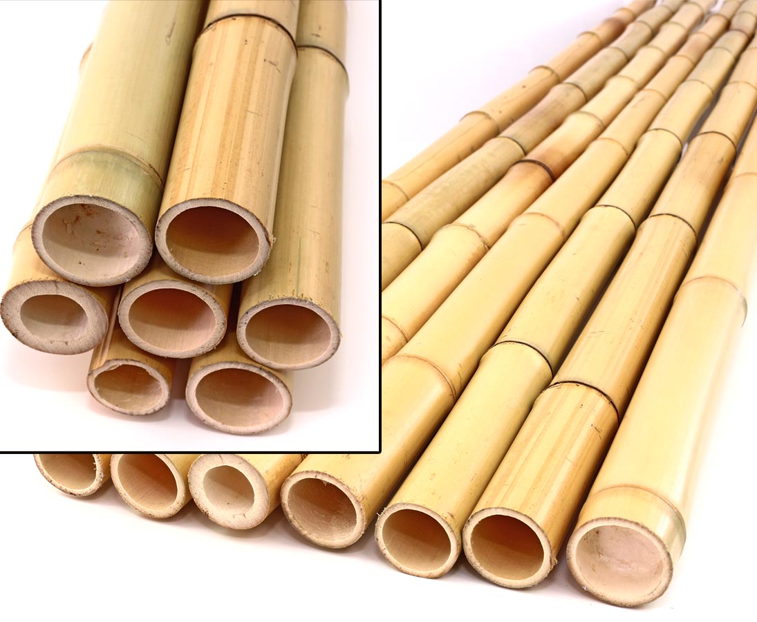 gebleicht Durch 20er Set Bambusrohr gelb Moso Bambus Länge 300cm 2,8-3,5cm 