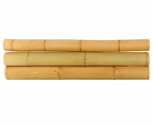 Bambusrohr Moso mit 100cm gelblich Durch. 9,8 bis 12cm, gebleicht