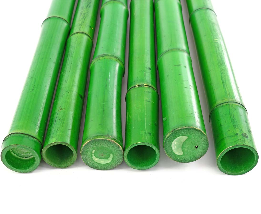 Bambou Moso Blanchi 200 Cm Diamètre 6-7 Cm - Tige Naturelle Pour Décoration Et Jardin