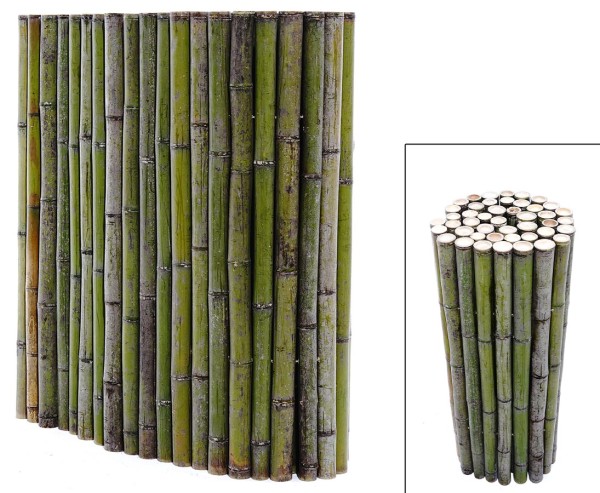 Bambuszaun gerollt naturgrün "Bali Big Green" 100x200cm mit 4 bis 5cm Rohre