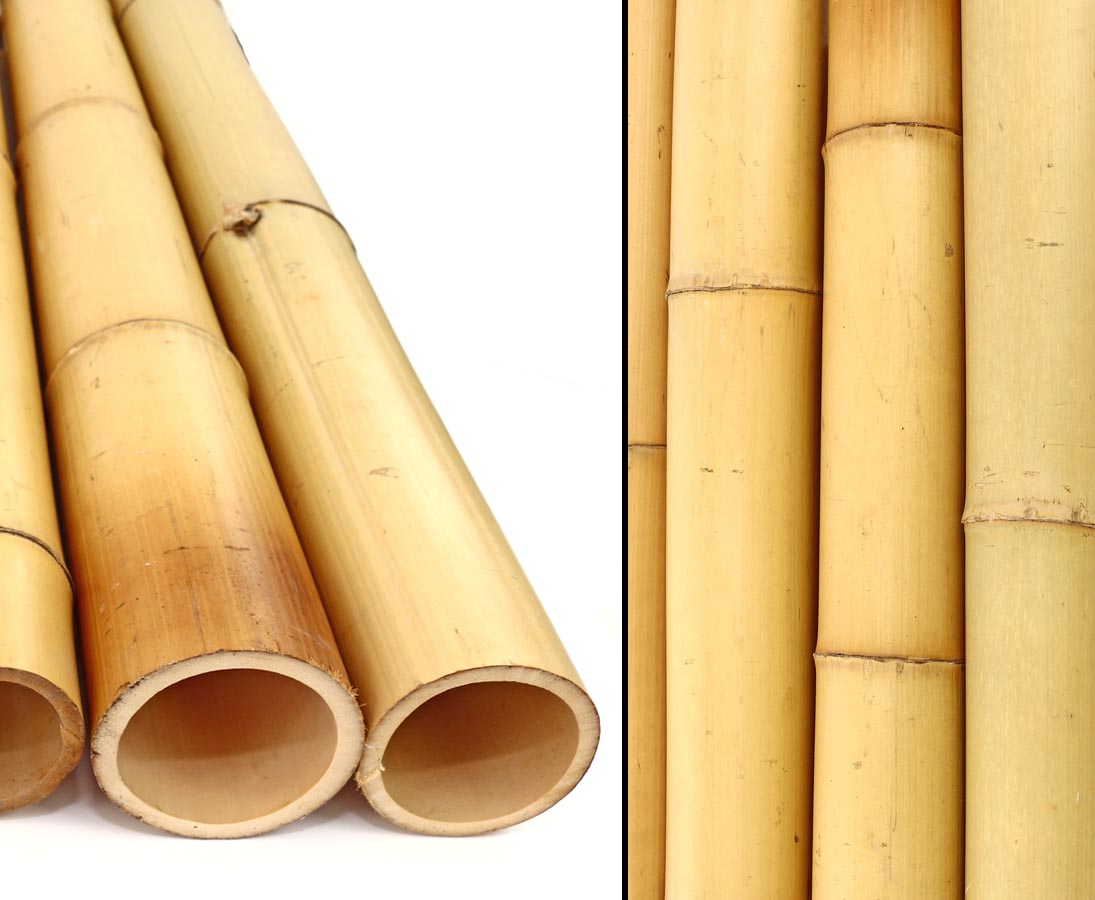 Bambusrohr  3-4 cm 1,50m Bambusrohre Bambusstange Bambusstangen Bambus 