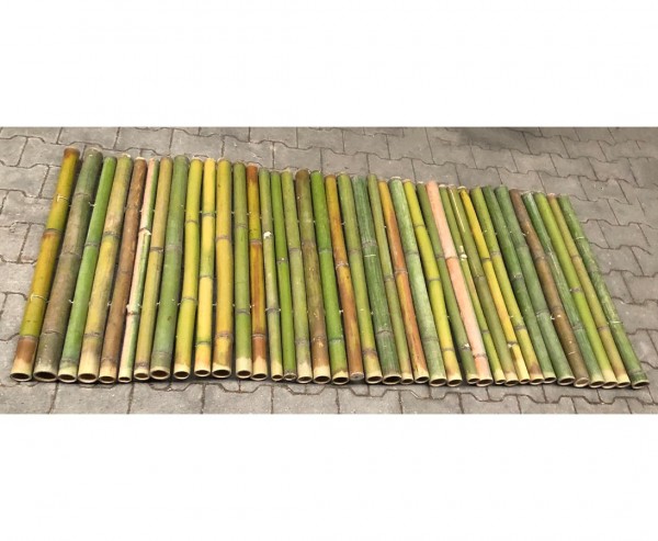 Bambusmatte grün naturbelassen "Big Green" 120x200cm mit 4 bis 6cm B-Ware