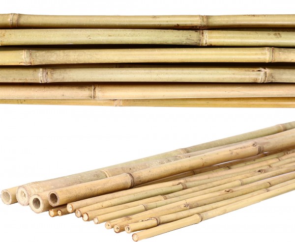 Tonkin Bambus gelblich naturbelassen Ø 1,8- 2,0cm Länge 240cm
