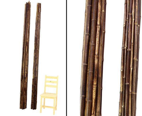Bambusrohr braun schwarz 300cm Nigra naturbelassen mit Durch. 4,5 bis 5cm