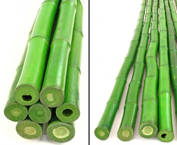 Bambus Rohr grün gefärbt Durch. 3- 3,5cm, Länge 240cm