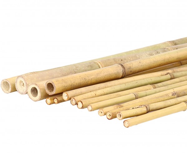 Bambus Tonkin 200cm naturbelassen mit Rohr Durch. 2,8 bis 3,2cm