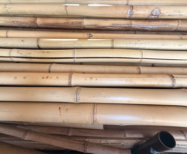 B-Ware Bambusrohre Durch. 2,8 bis 6cm 2m lang und 25 Stück als Posten