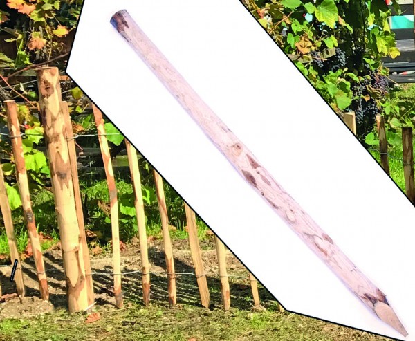 Kastanien Zaunpfosten einseitig angespitzt 250cm, Drchm. 8-10cm