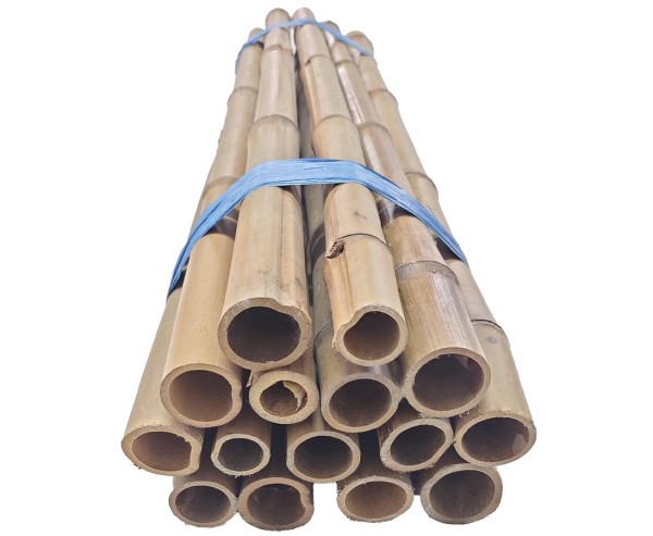 Karbonisiertes Bambusrohr 100cm Durch. 7 bis 8cm